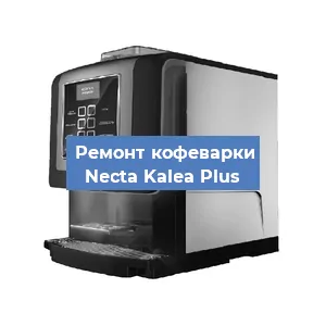 Ремонт заварочного блока на кофемашине Necta Kalea Plus в Красноярске